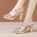 Korean style high heel women's shoes